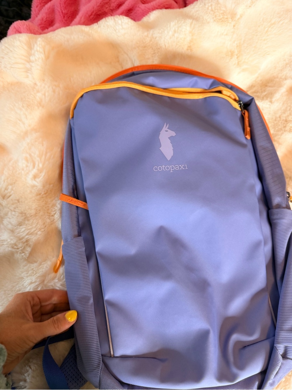 Cotopaxi Blue Backpack with Orange Trim - Men's Daypack nwt - Picture 7 of 10